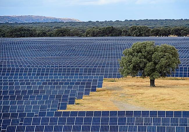 Con el consiguiente ahorroa través de la instalación de módulos fotovoltaicos.