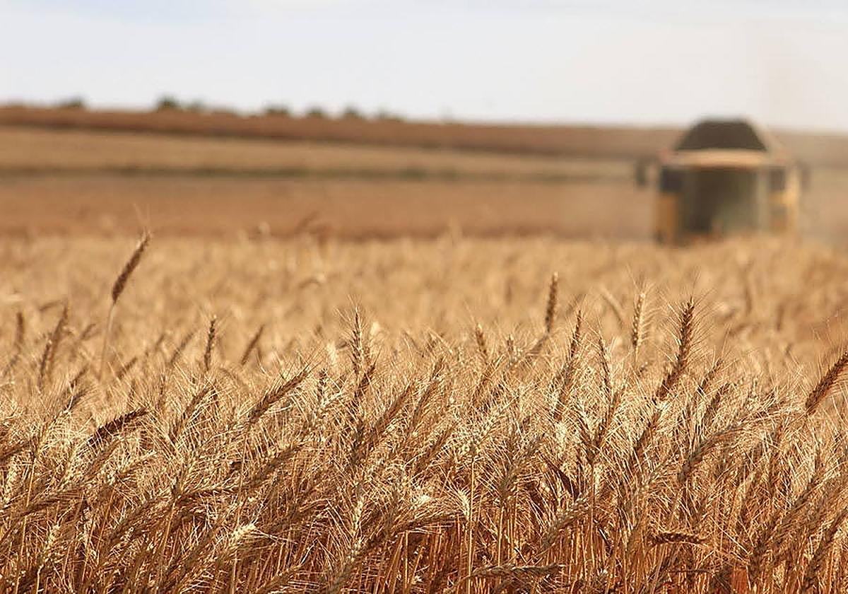 Entre las modificaciones figura las relativas al cuaderno digital, ampliando el periodo de adaptación.