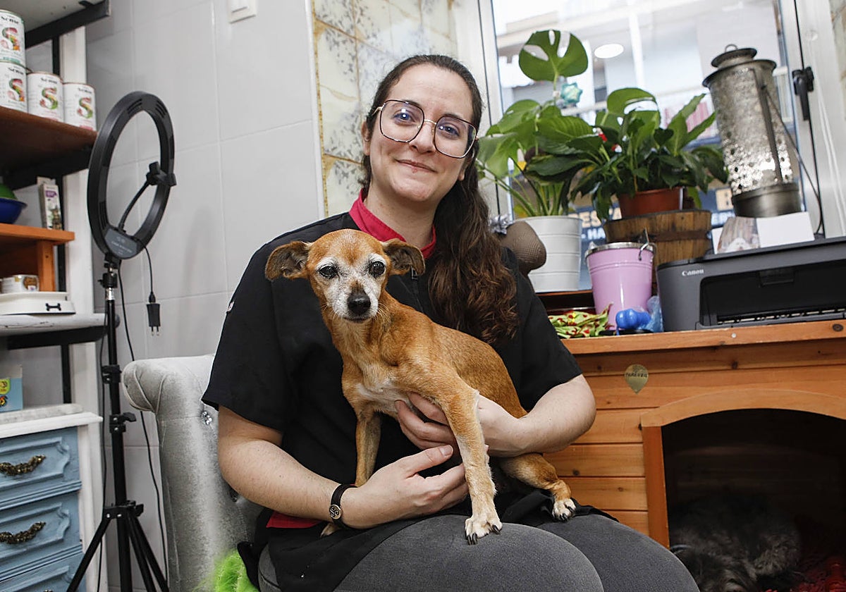 Panetone, la perra que vagó un año tras morir su amo