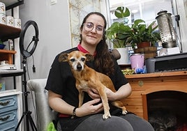 Panetone, la perra que vagó un año tras morir su amo