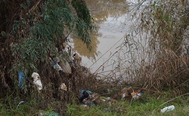 Basura acumulada en el paseo de la margen izquierda esta semana. 