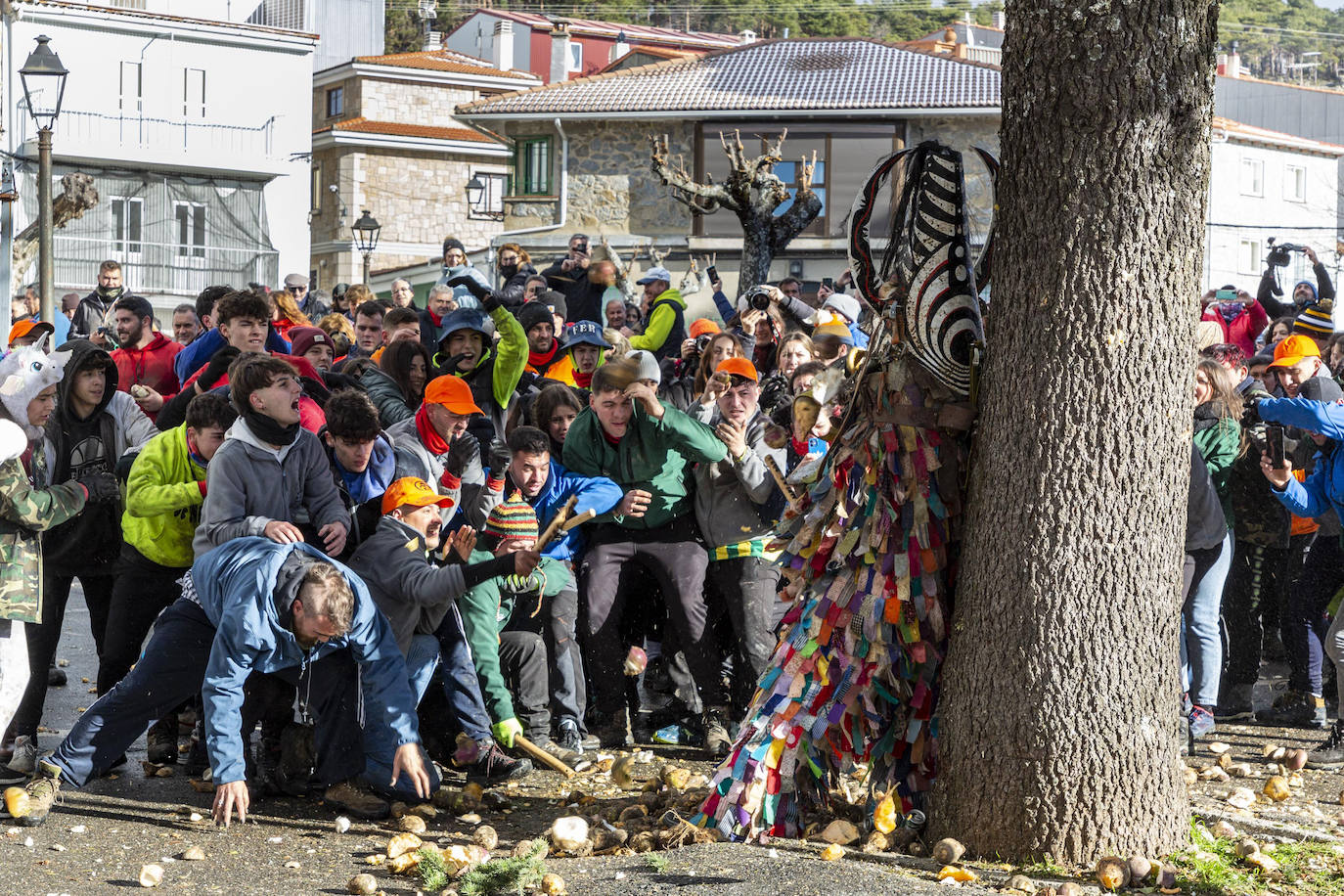 Fotos: Fiestas de Extremadura: Jarramplas vuelve a recibir una lluvia de nabos en Piornal