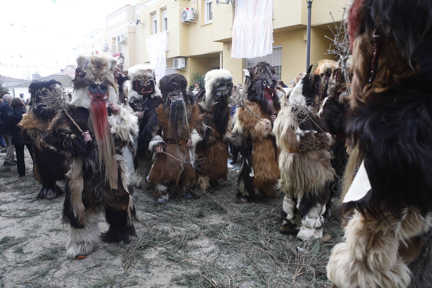 Fotos: Unas carantoñas de récord