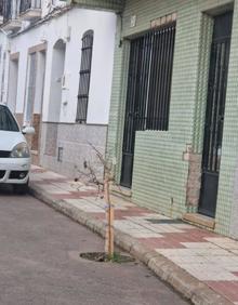 Imagen secundaria 2 - El Ayuntamiento llama a la ciudadanía a mantener limpias las calles de la localidad