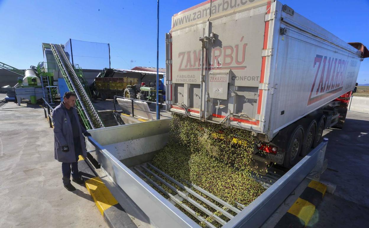 La actividad agrícola, como la campaña de aceituna, generó menos actividad en el último trimestre. 