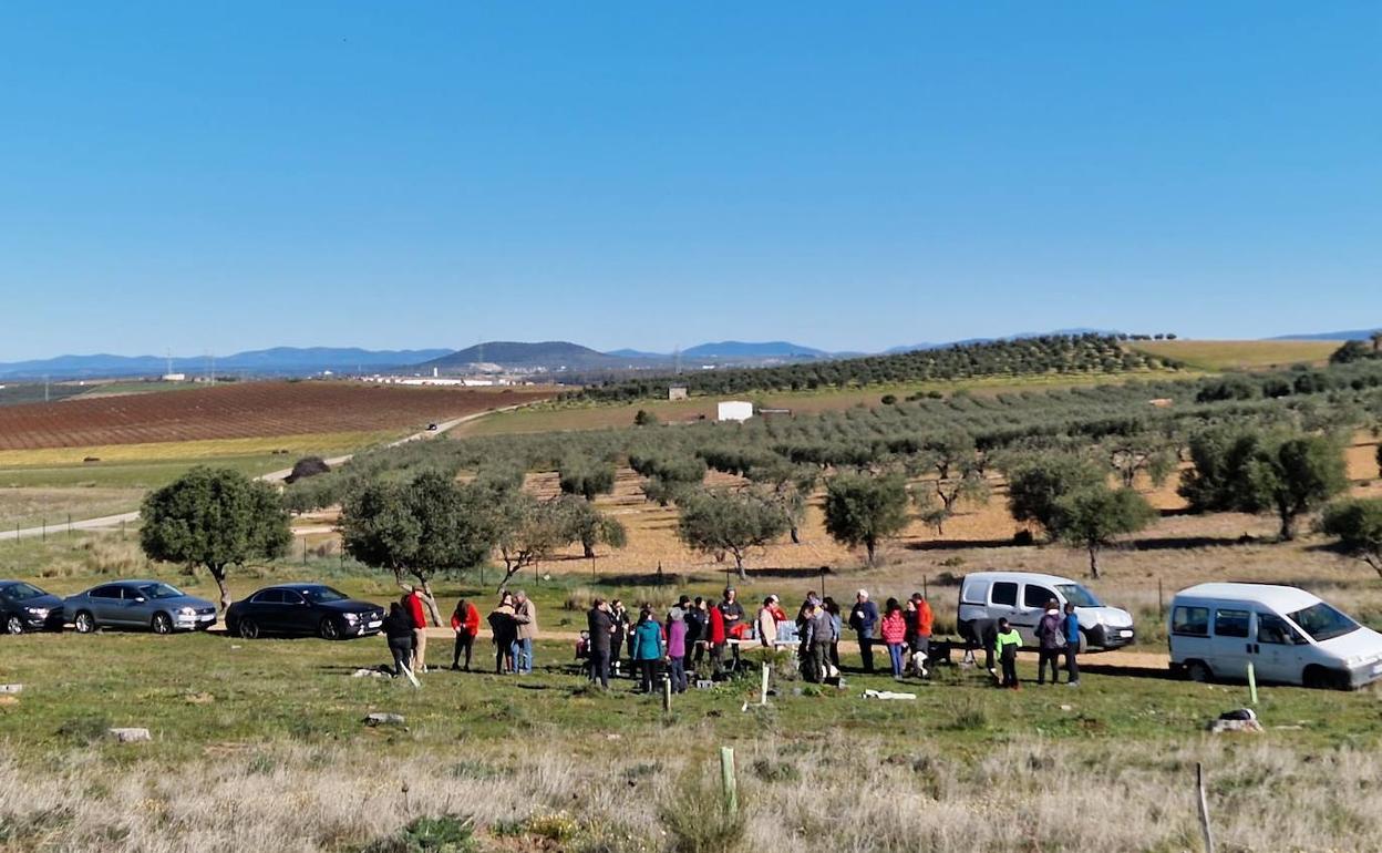 Unas 60 personas participaron en la plantación de árboles en El Pocito