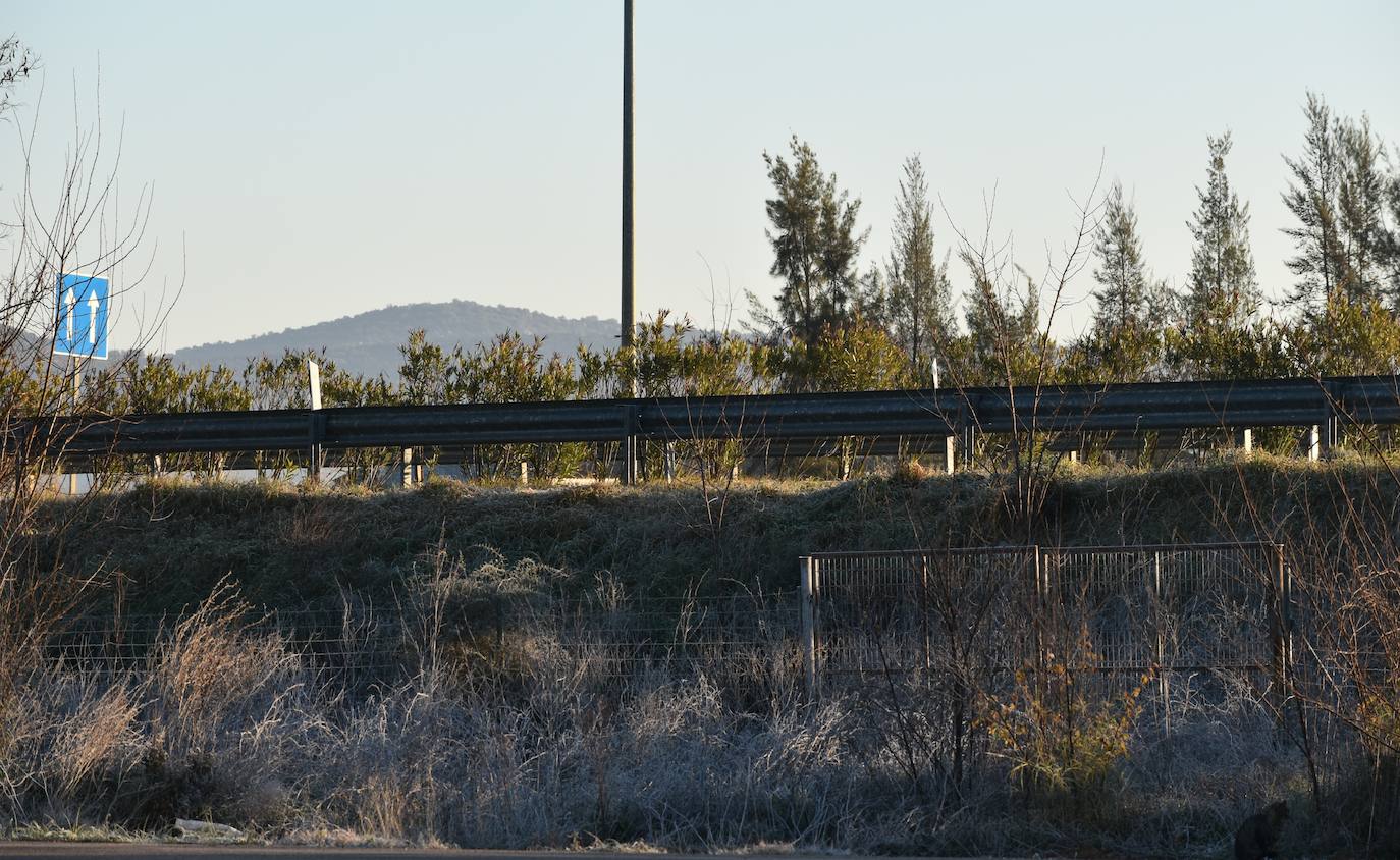 Cuneta de la autovía Don Benito - Miajadas (A-2) a su paso junto a Ruecas.