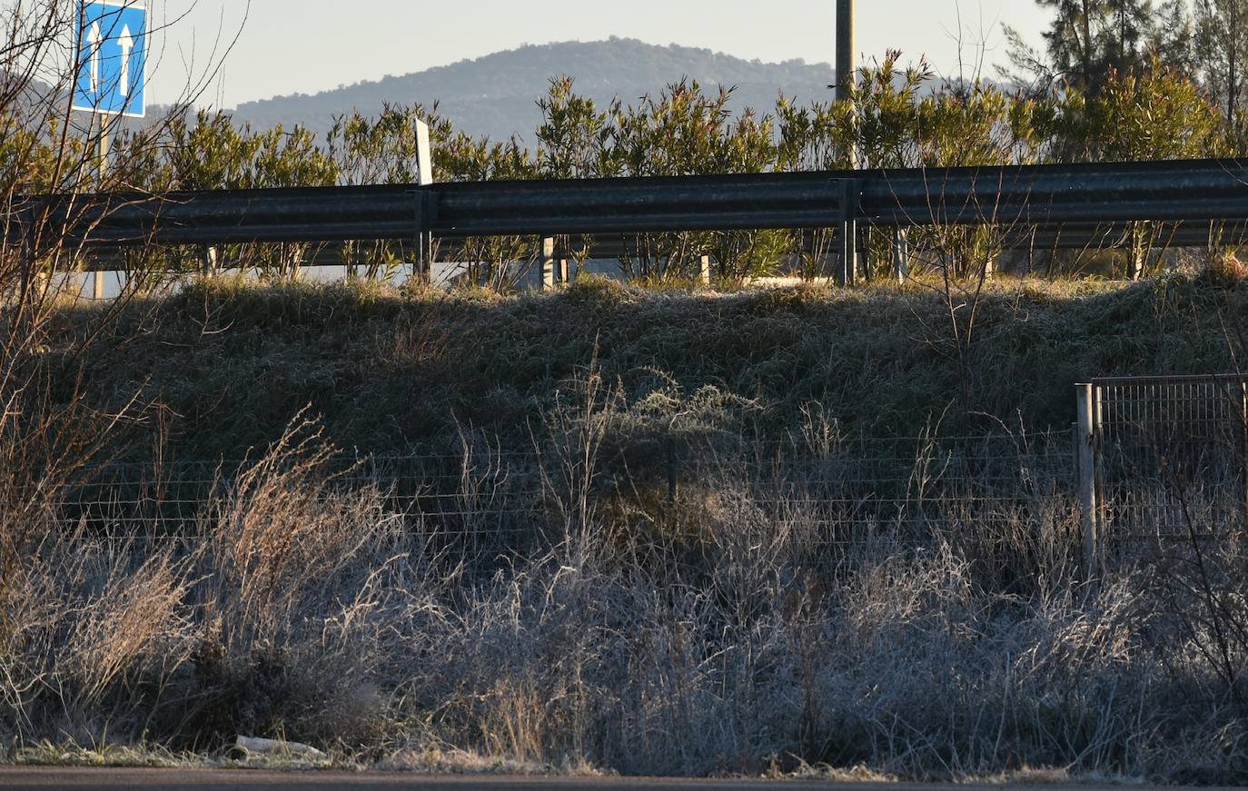 Cuneta de la autovía Don Benito - Miajadas (A-2) a su paso junto a Ruecas.