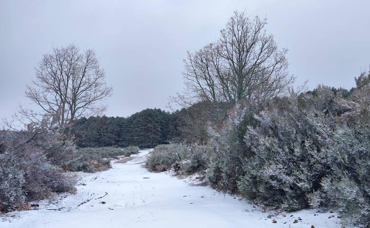 Imagen de este miércoles del entorno de Piornal nevado.