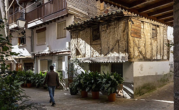 Una de las calle de Villanueva de La Vera, llena de plantas.