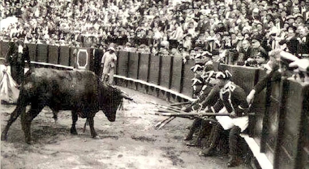 En la corrida regia de 1878 en Madrid el toro Milagroso arremetió contra los alabarderos que estaban debajo del palco real. Hubo heridos.