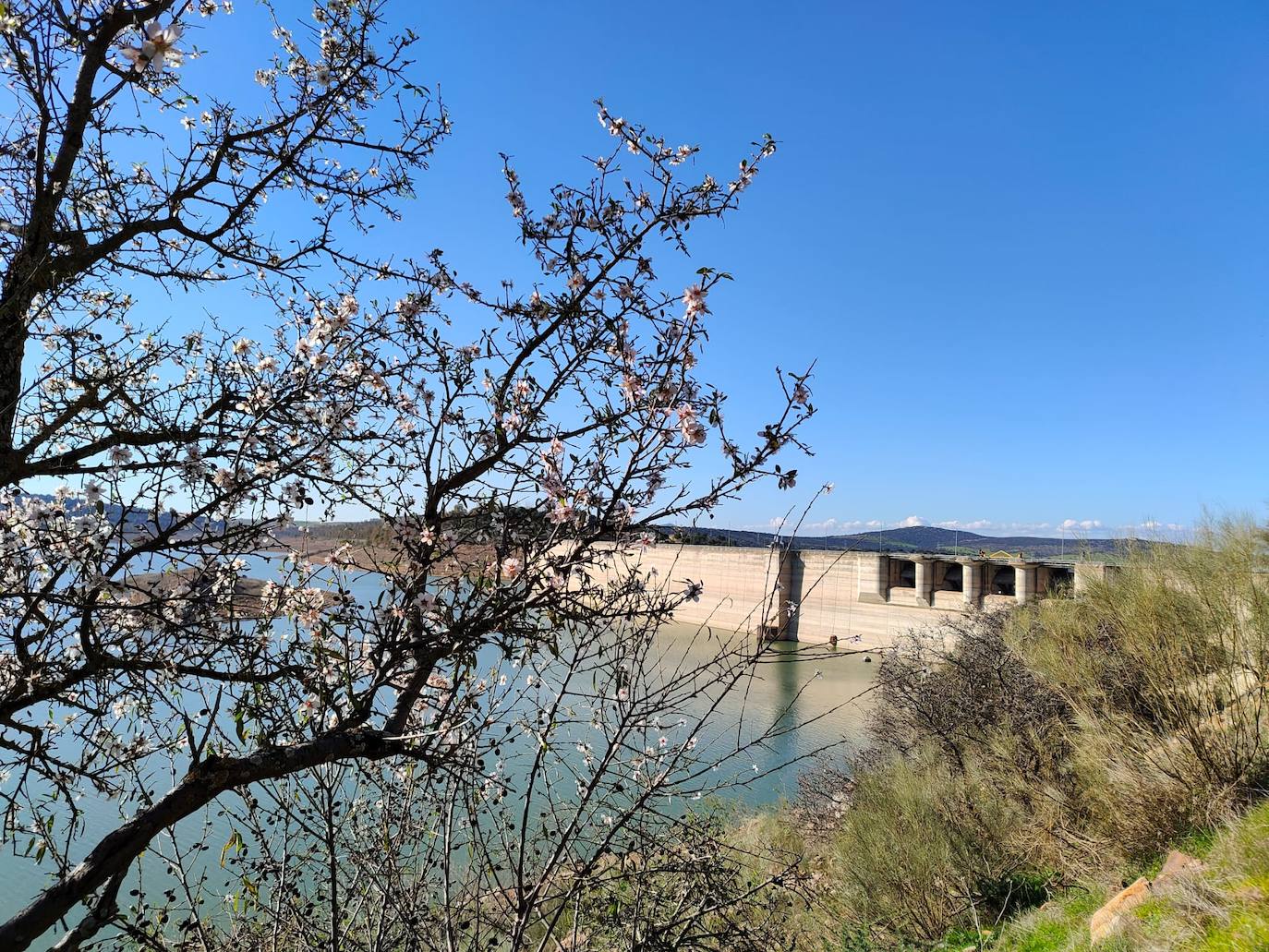 Fotos: Ruta por los almendros en flor del entorno de Alange