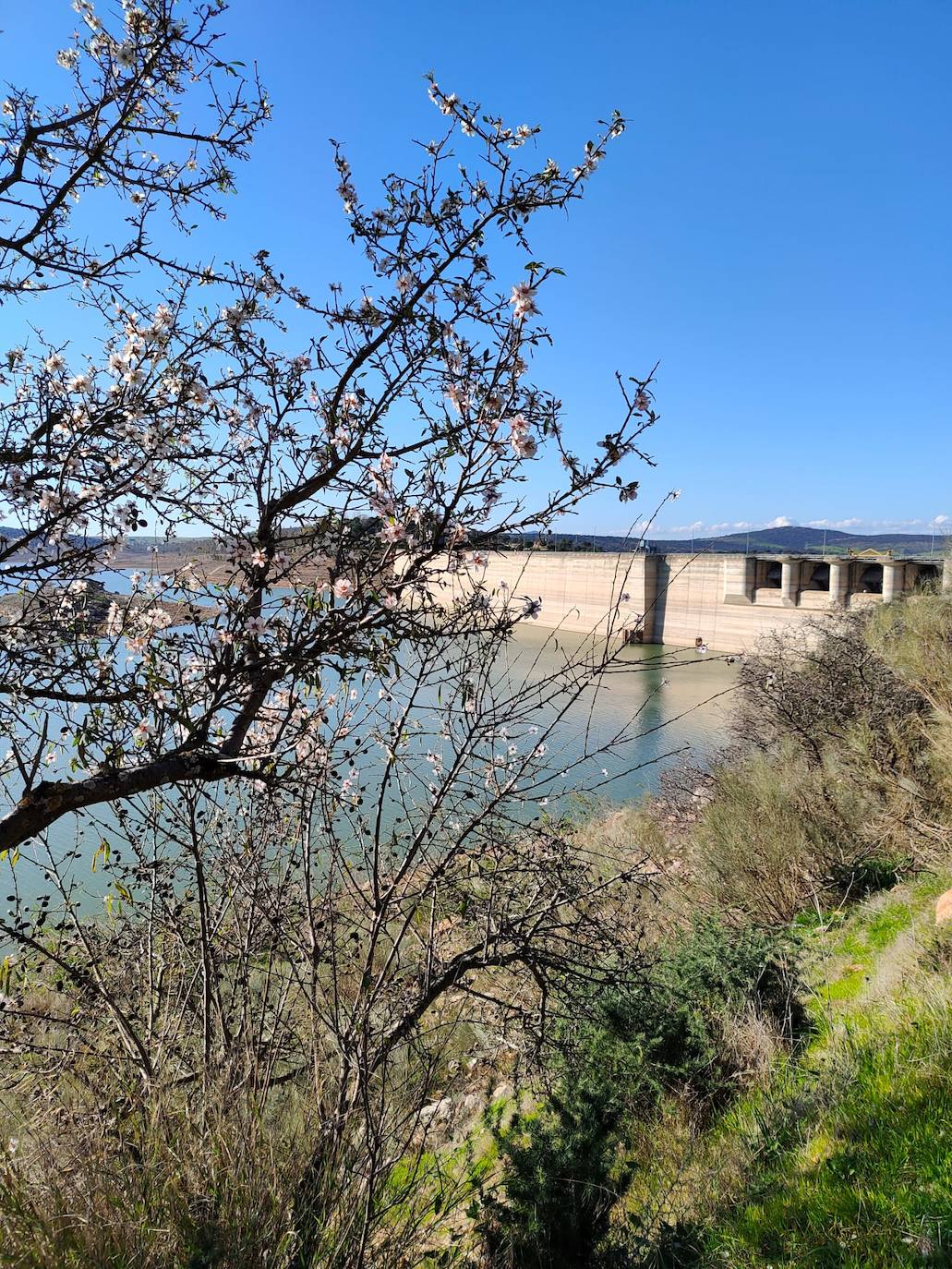 Fotos: Ruta por los almendros en flor del entorno de Alange