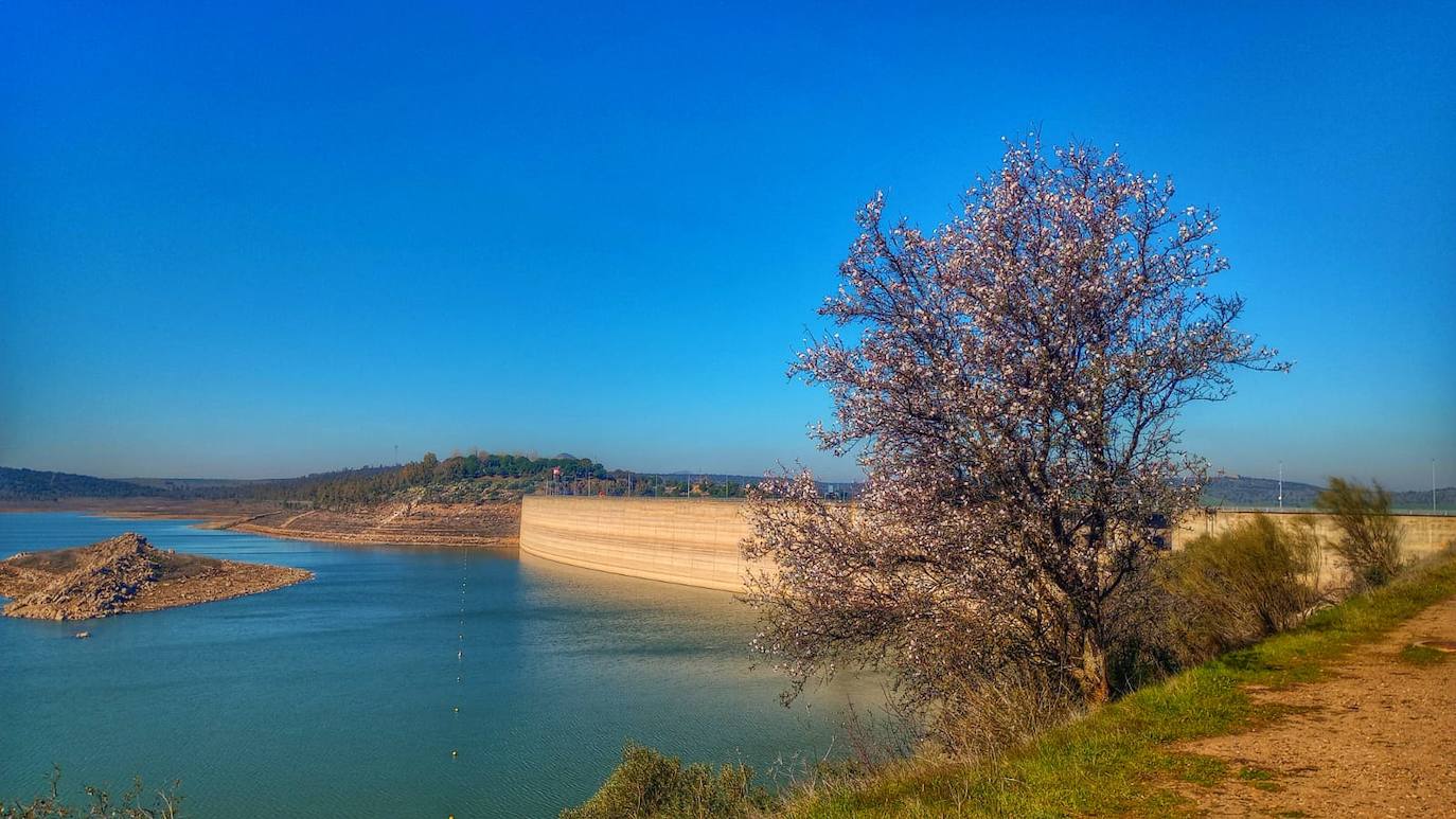 Fotos: Ruta por los almendros en flor del entorno de Alange
