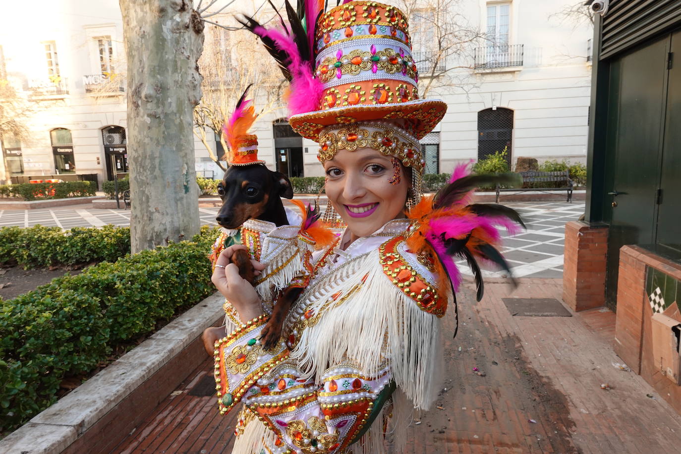 Fotos: Más de 130 mascotas se disfrazan en el primer concurso de animales