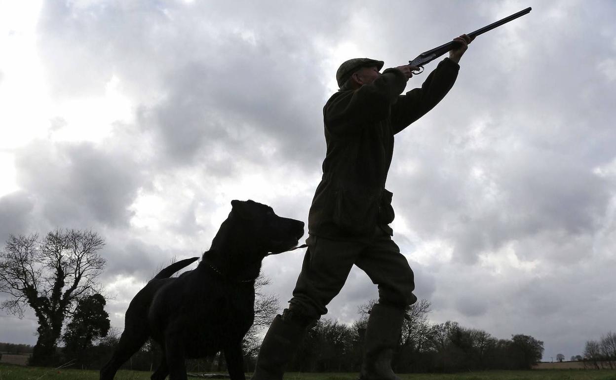 Perros y caza