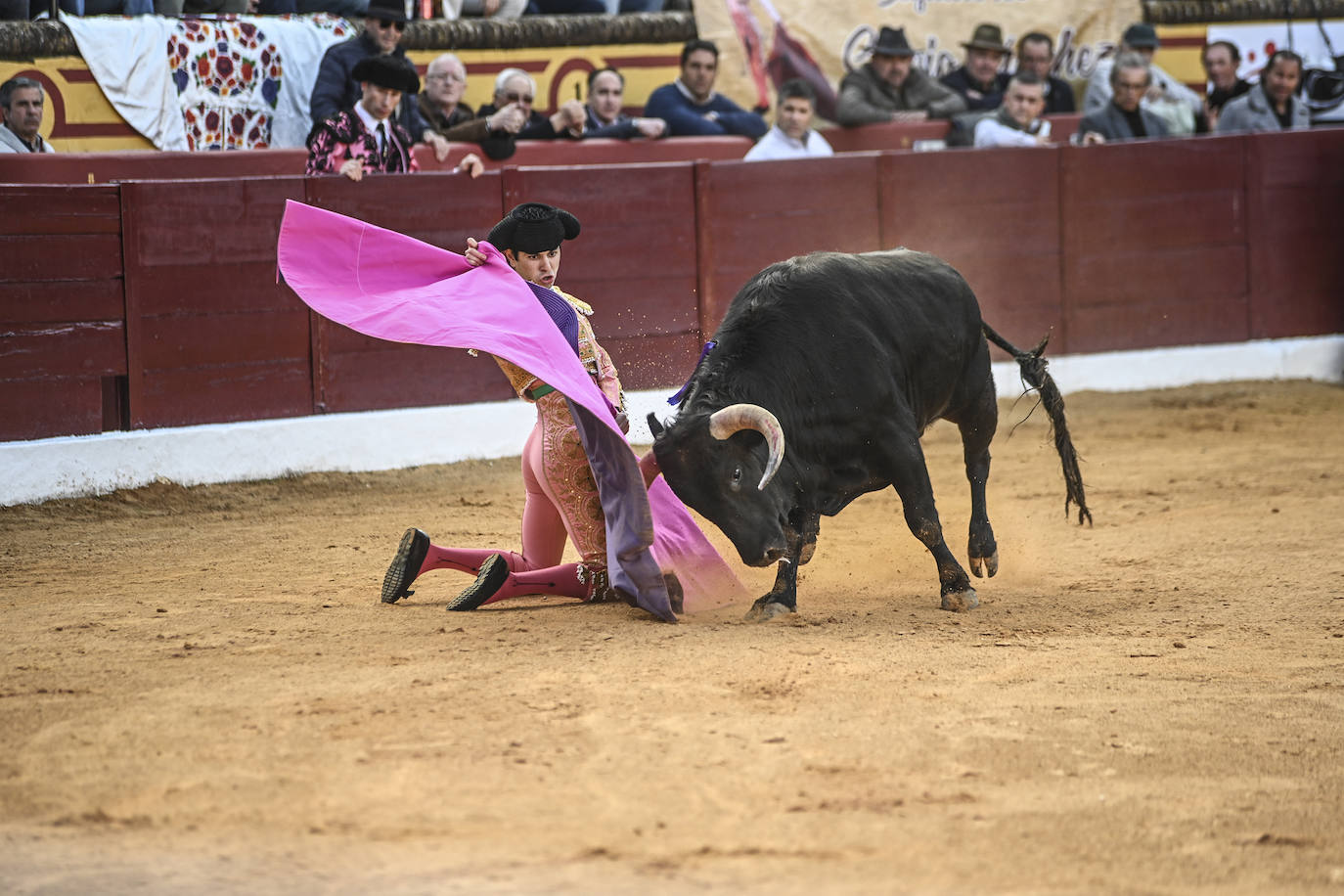 Fotos: Triple triunfo en Olivenza