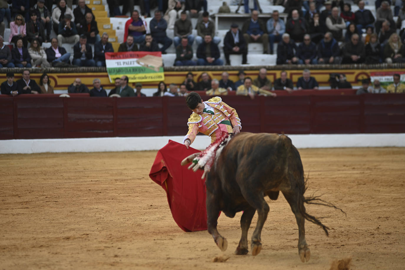 Fotos: Triple triunfo en Olivenza