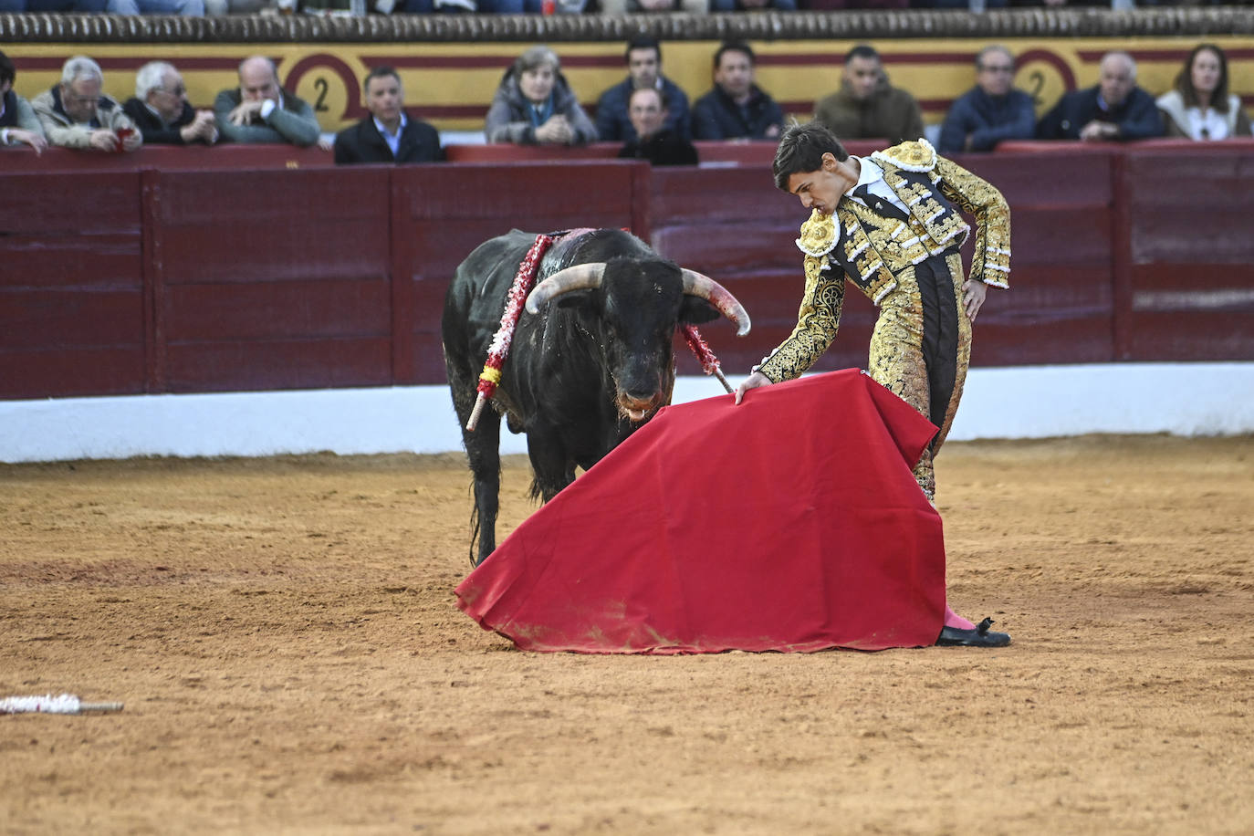 Fotos: Triple triunfo en Olivenza