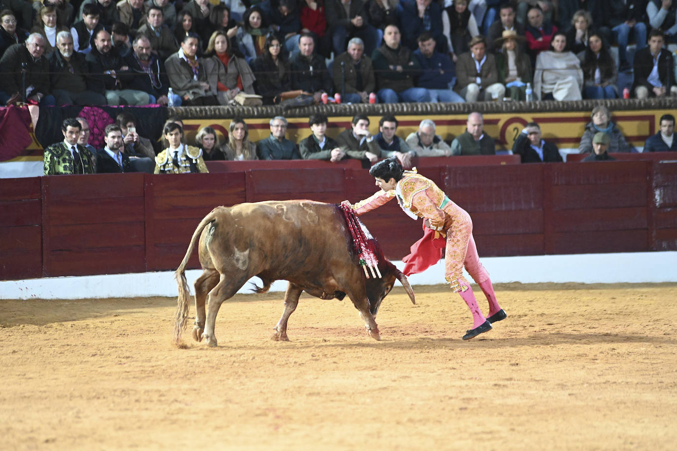 Fotos: Triple triunfo en Olivenza