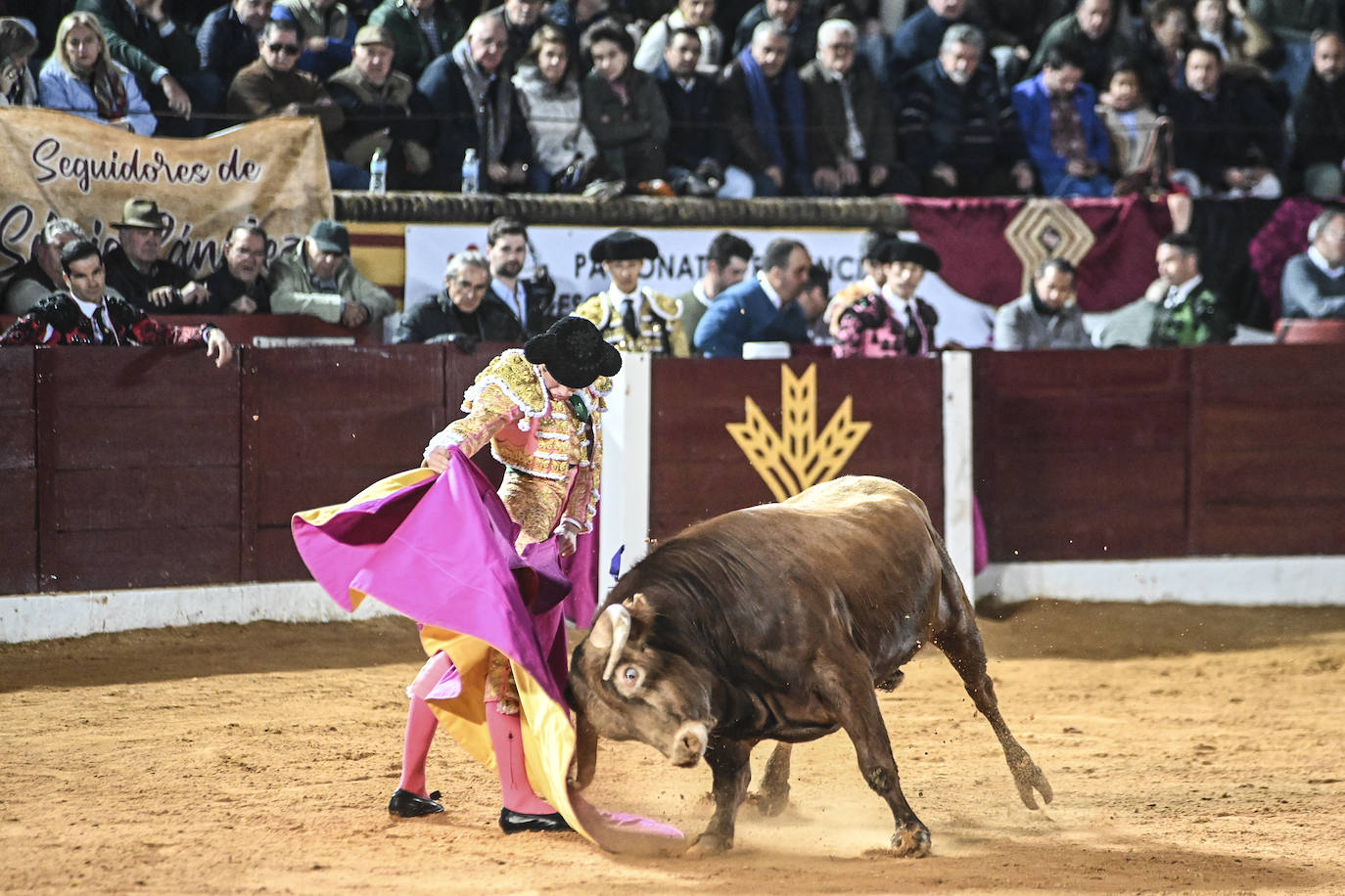 Fotos: Triple triunfo en Olivenza