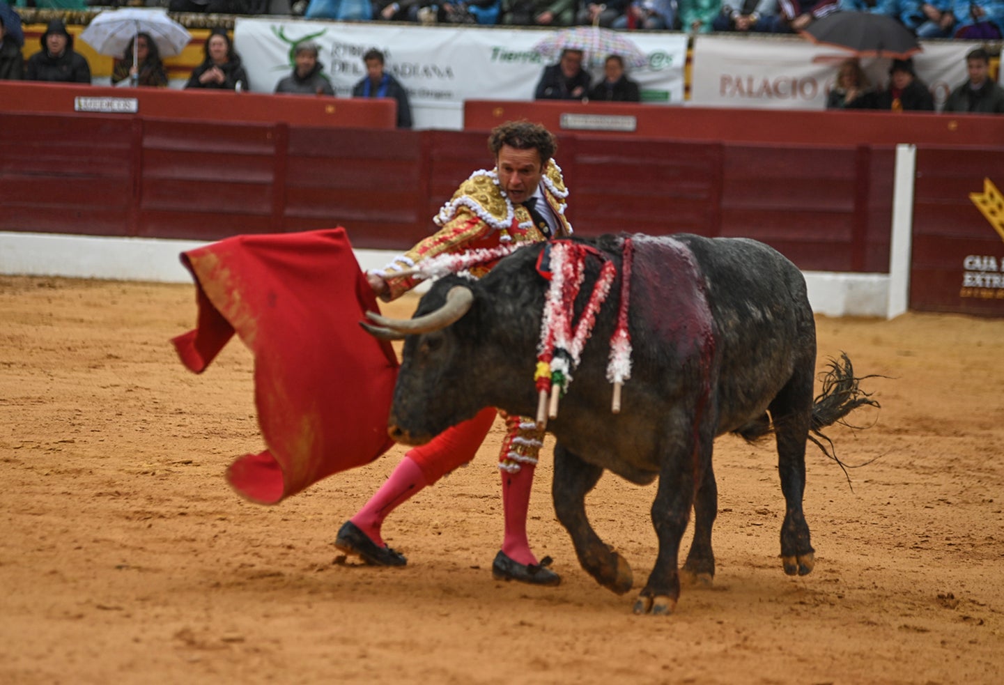 Fotos: Triunfo de Ventura, con Ferrera y Valdez con un trofeo cada uno