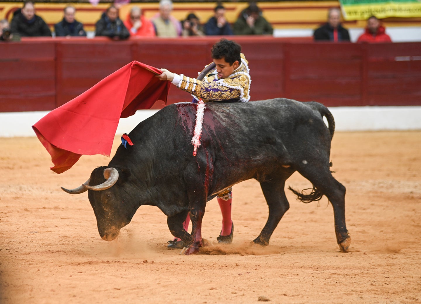 Fotos: Triunfo de Ventura, con Ferrera y Valdez con un trofeo cada uno