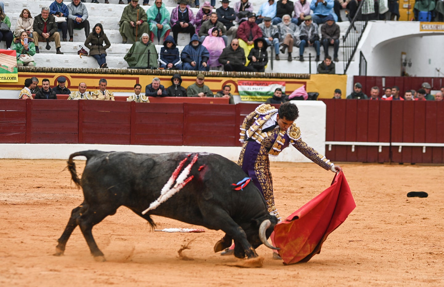 Fotos: Triunfo de Ventura, con Ferrera y Valdez con un trofeo cada uno