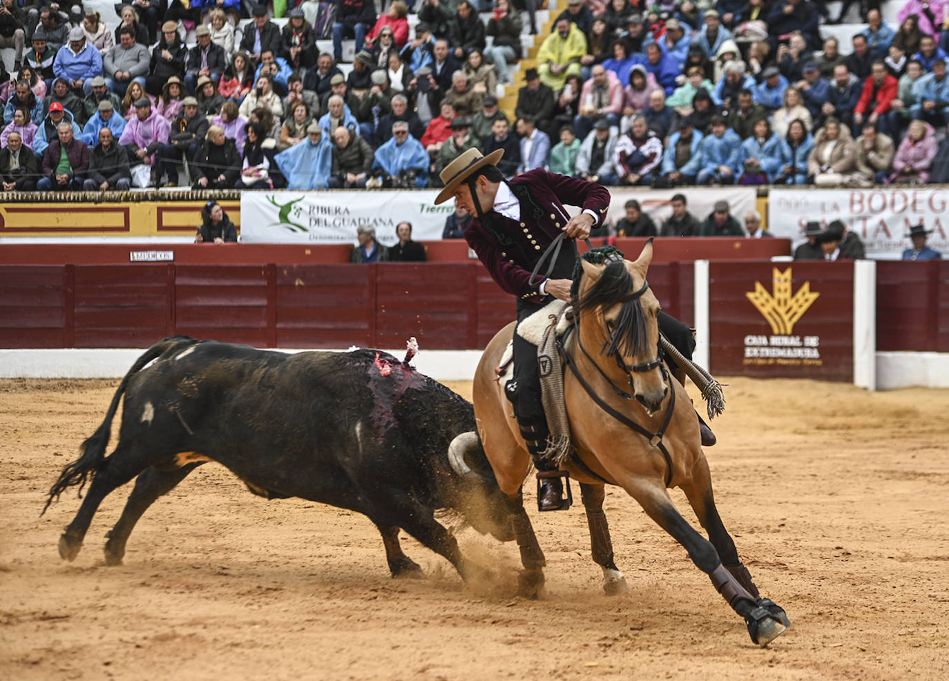 Fotos: Triunfo de Ventura, con Ferrera y Valdez con un trofeo cada uno