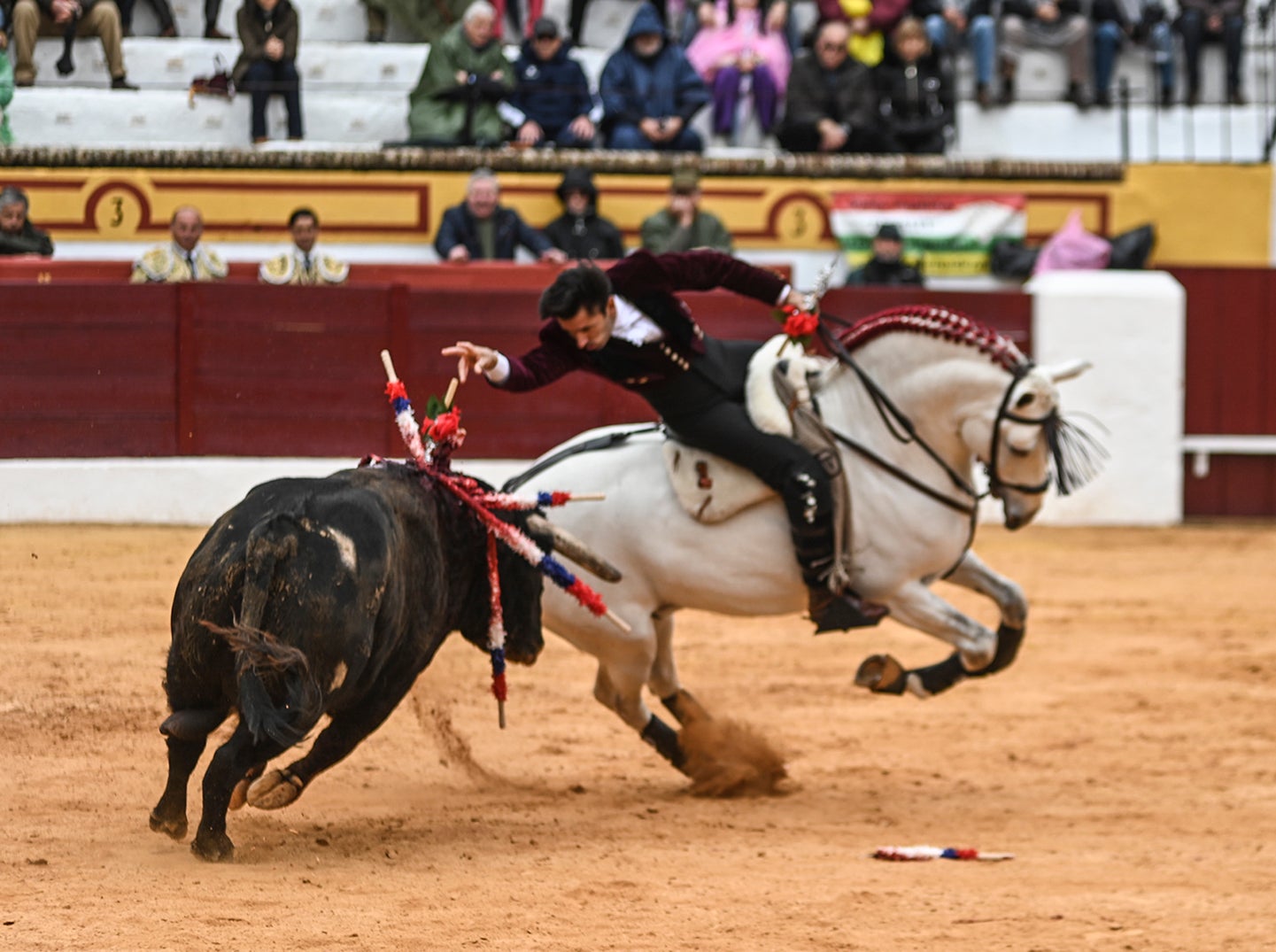 Fotos: Triunfo de Ventura, con Ferrera y Valdez con un trofeo cada uno