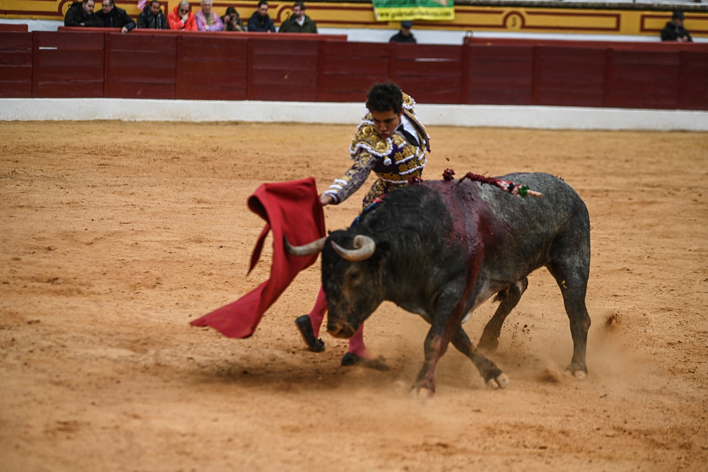 Fotos: Triunfo de Ventura, con Ferrera y Valdez con un trofeo cada uno