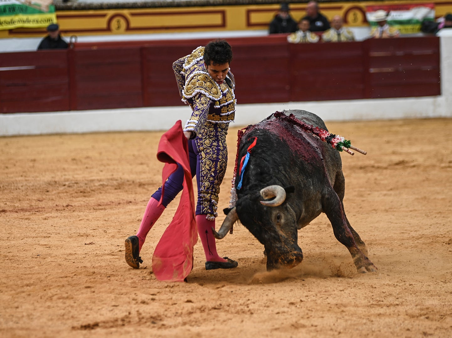 Fotos: Triunfo de Ventura, con Ferrera y Valdez con un trofeo cada uno