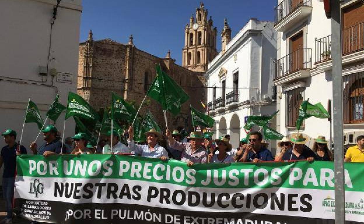 Imagen de archivo de una antigua manifestación en Almendralejo, también por el sector vitivinícola.