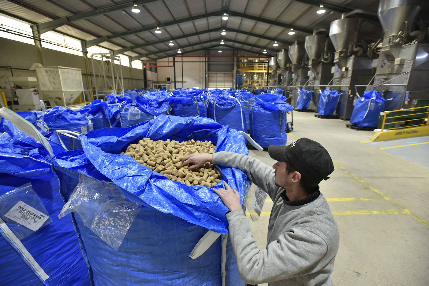 Diam Corchos, en San Vicente de Alcántara.