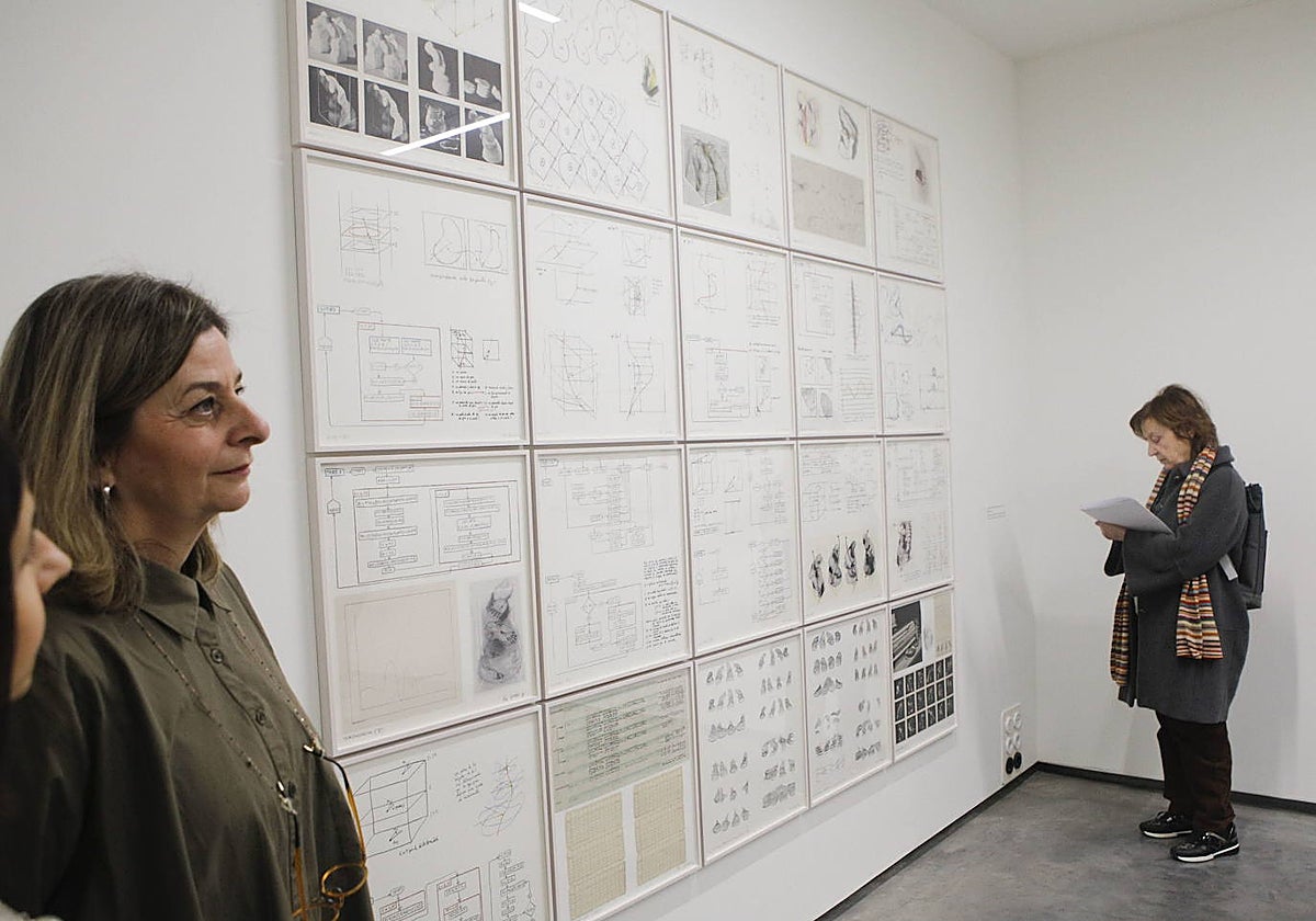 Las donaciones de obras del Helga de Alvear, paradas hasta que se terminen las obras del almacén