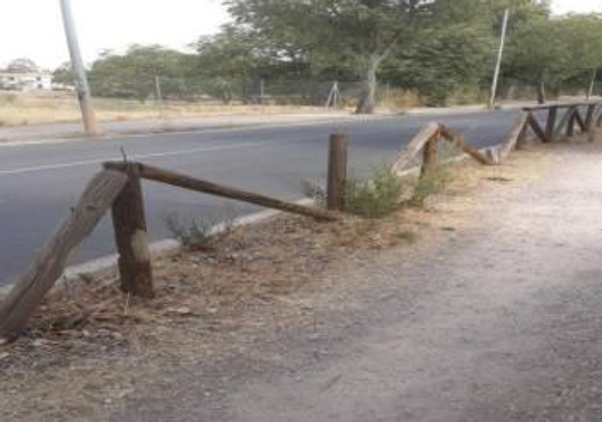 Imagen principal - Imagen sobre el abandono del corredor urbano de la Ribera que aparece en el informe. Debajo, una parada de bus al aire libre y sin protección y el estado del puente de la Hispanidad, para el que piden un mayor mantenimiento.