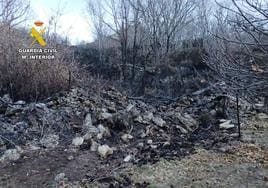 Una quema de restos vegetales provocó el incendio que arrasó 176 hectáreas en Piornal en diciembre