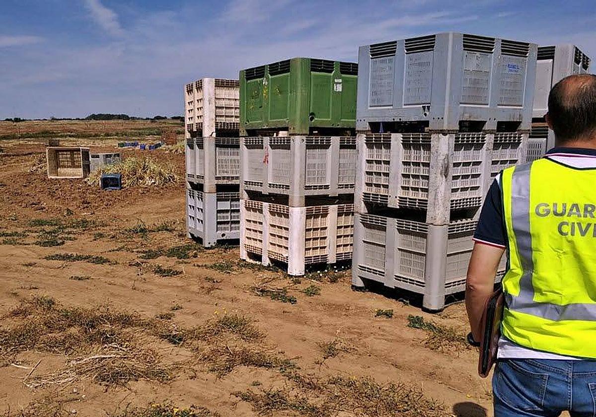 La Guardia Civil realizó la inspección que descubrió el delito.