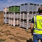 La Guardia Civil realizó la inspección que descubrió el delito.