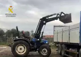 Momento en el que se estaba realizando la carga de las aceitunas en un camión que se encontraba en el punto de recogida, y que fue presenciado por los agentes del Equipo Roca.