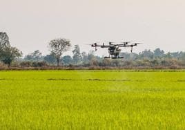 La nueva agricultura pasará por la utilización de drones para fumigar.