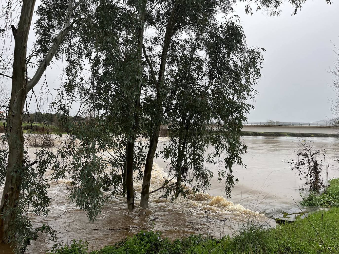 Cauce crecido del río Gévora.