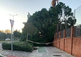 Las imágenes de la borrasca Juan a su paso por Extremadura