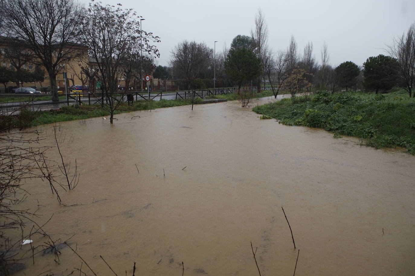 El agua a punto de desbordar el puente de Vistahermosa en la Ribera del Marco