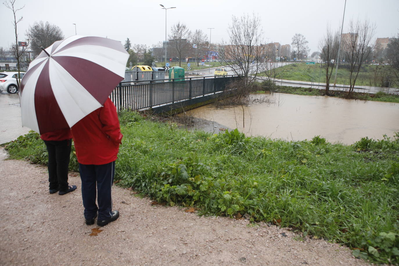 El agua a punto de desbordar el puente de Vistahermosa en la Ribera del Marco