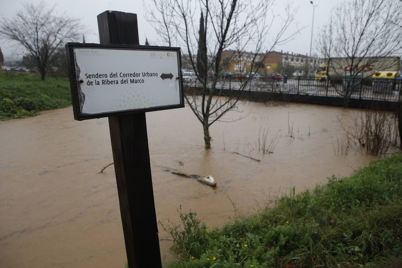 El agua a punto de desbordar el puente de Vistahermosa en la Ribera del Marco