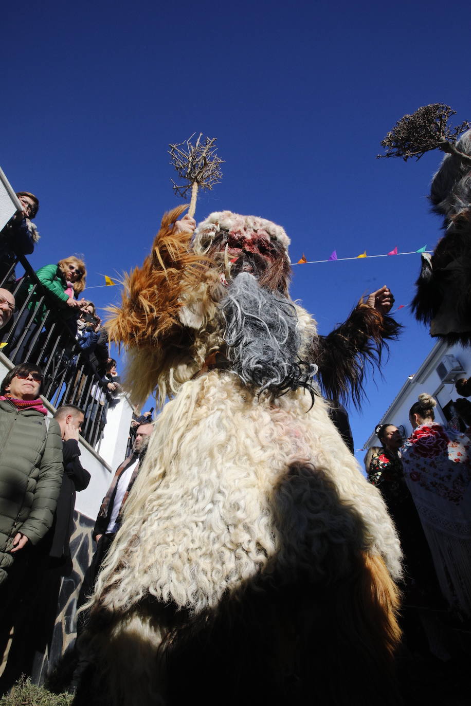 Carantoñas multitudinarias y con ansia de ser internacionales (I)