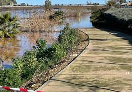 Parte del paseo permanece anegado de agua por la borrasca Juan.