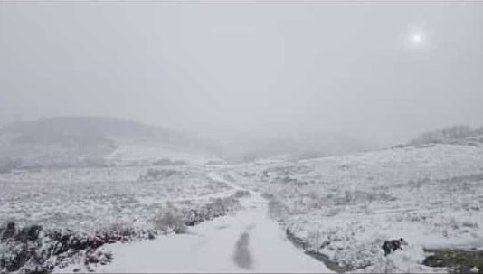 La borrasca Juan deja una bonita estampa invernal en Tornavacas