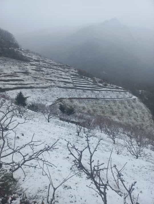 La borrasca Juan deja una bonita estampa invernal en Tornavacas